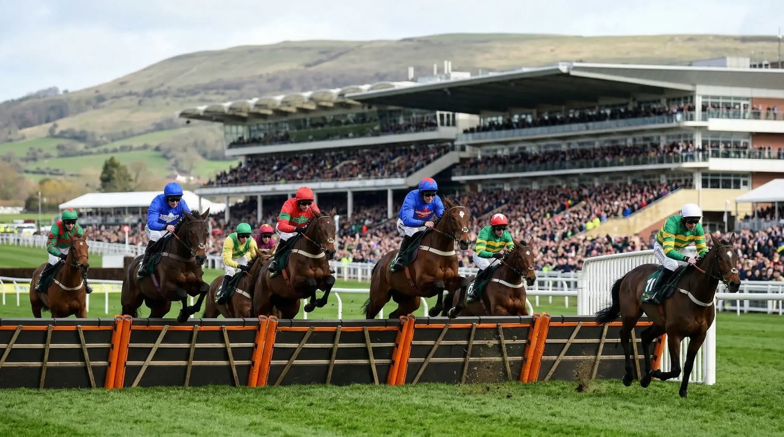 Horses racing over hurdles at Cheltenham Festival with the famous grandstand behind