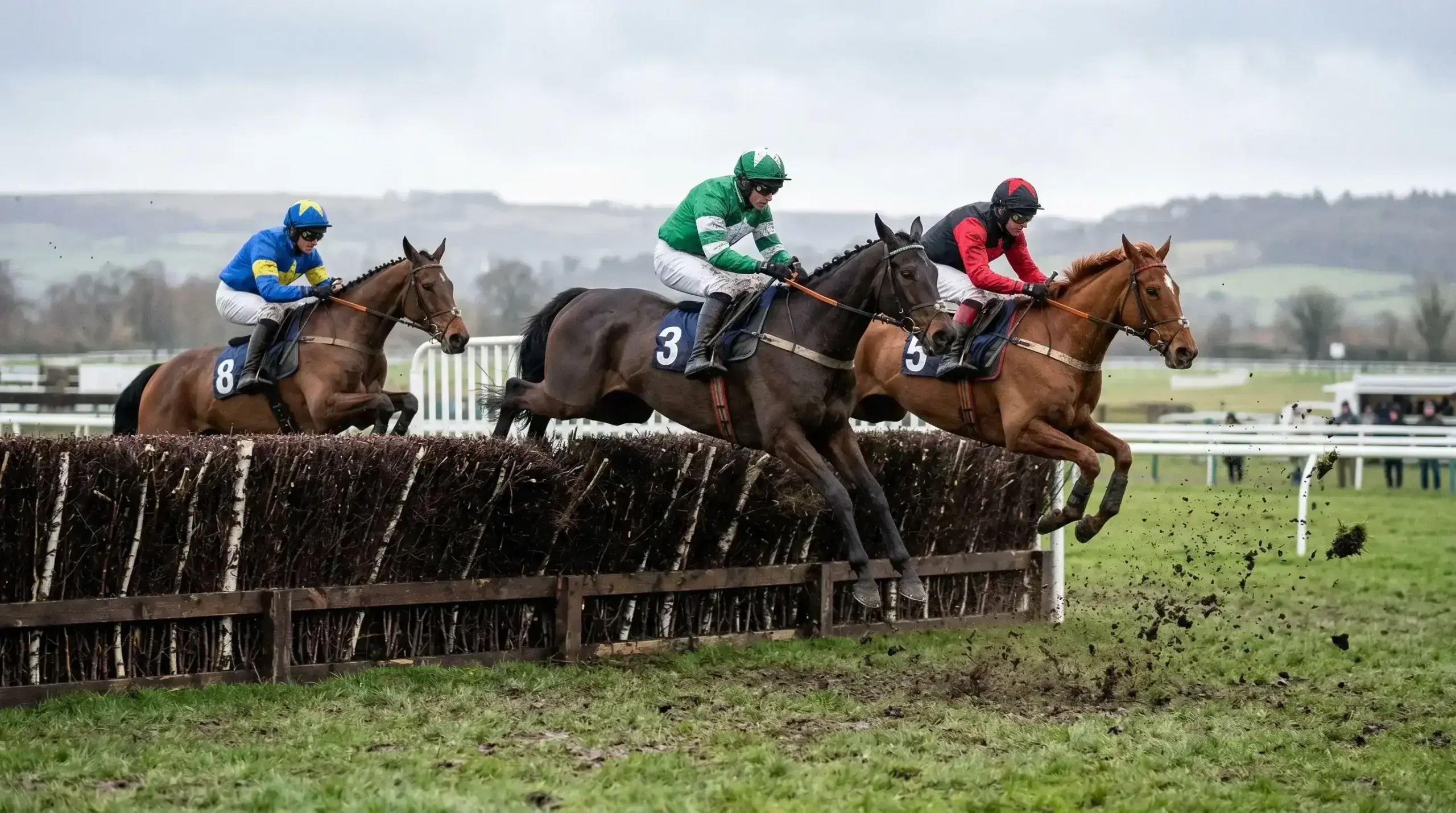 Horses jumping a fence in a National Hunt steeplechase at a UK racecourse